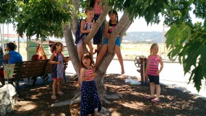 Friends Playing in the Tree